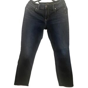 Silver Jeans Co Elyse Straight Leg Dark Wash Curvy Fit Jeans 30X29